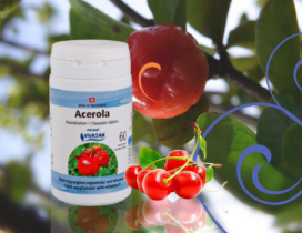 Биологически активная добавка к пище Ацерола в таблетках
